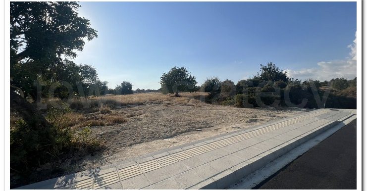 ZANATSIA EVTYXIOS PLOTS (2)