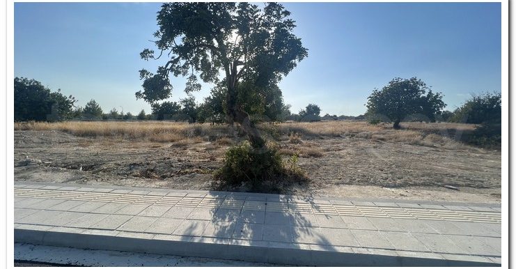 ZANATSIA EVTYXIOS PLOTS (20)