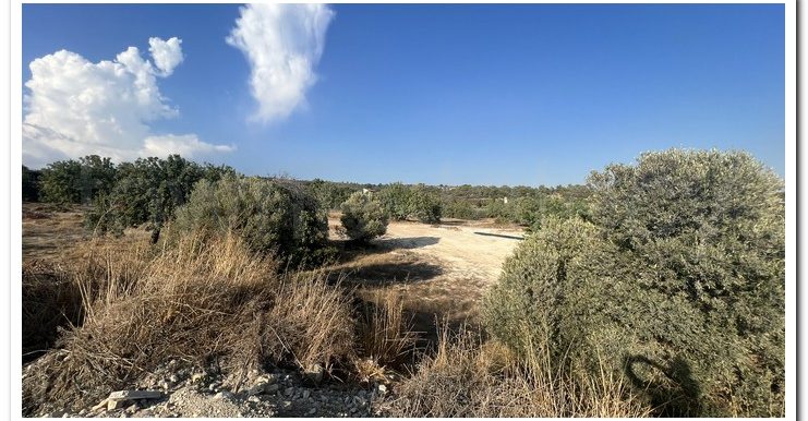 ZANATSIA EVTYXIOS PLOTS (4)
