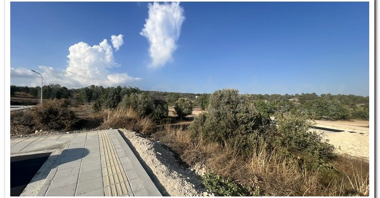 ZANATSIA EVTYXIOS PLOTS (5)