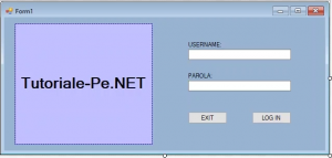 login form
