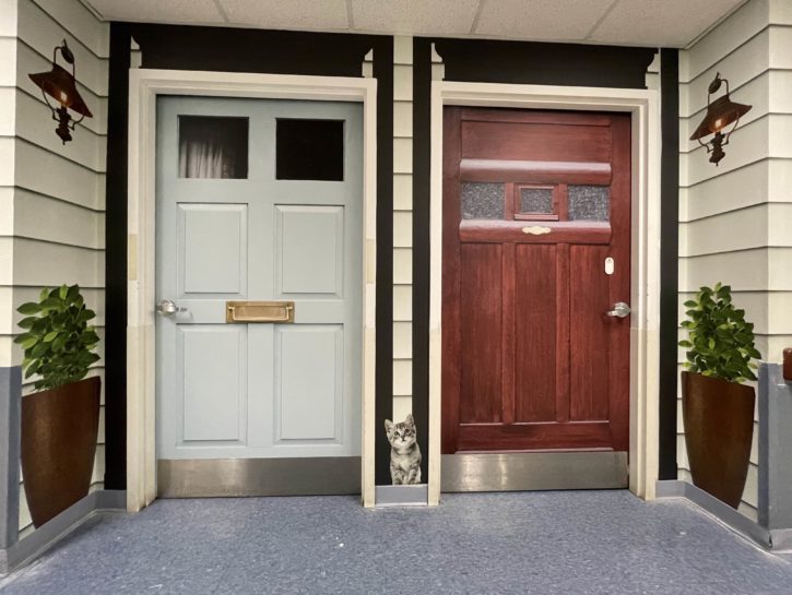 A True Door Report - Kathy Hirsch on how creating sensory-scapes helps everyone involved with long term care to feel more at home