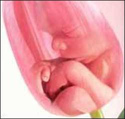 Час богословствувати