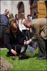 Калина для президента