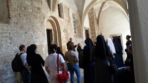 11403404_491361837680409_78563950658563754_n