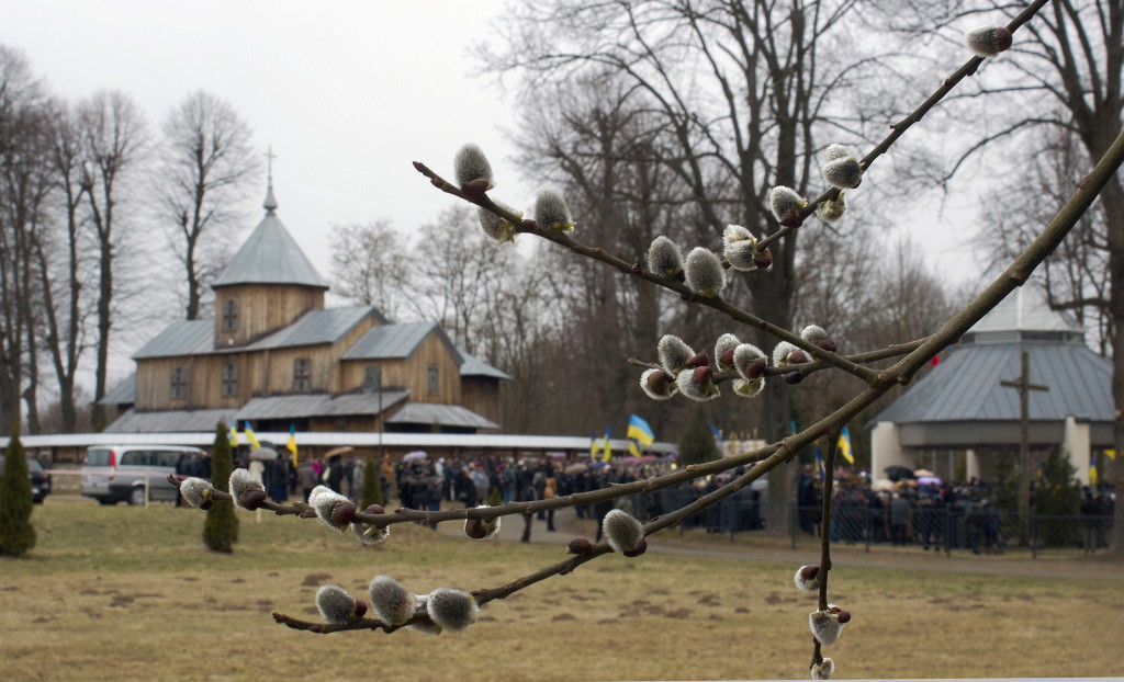 Весна в Млинах (2015р.)