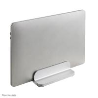 1NSLS300SILVER