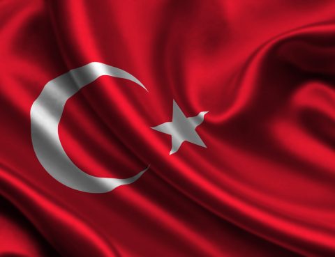 Şehitler ölmez, vatan bölünmez! Şehitler ölmez, vatan bölünmez!