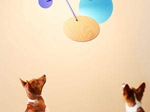 1-BallonCEILING800600