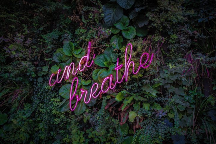 Neonlicht met de tekst 'And breathe' tegen een begroeide muur