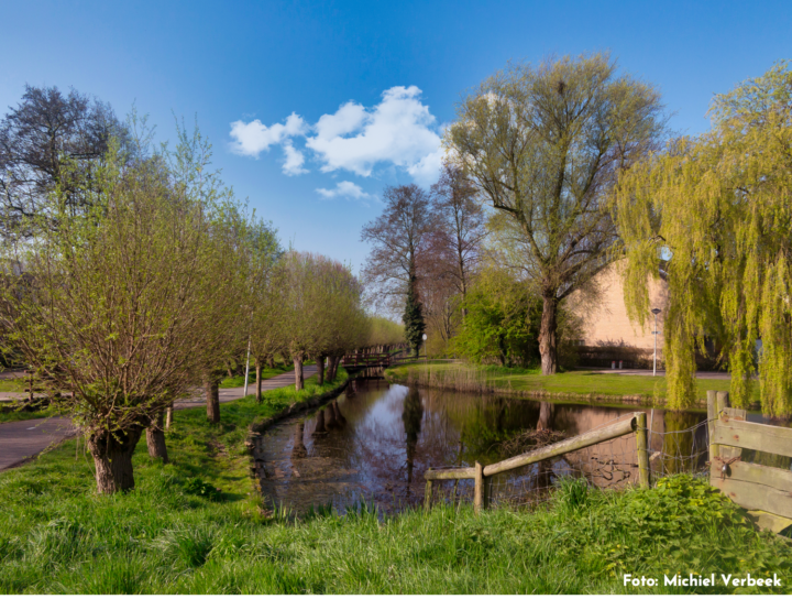 Viisi Leiden Merenwijk