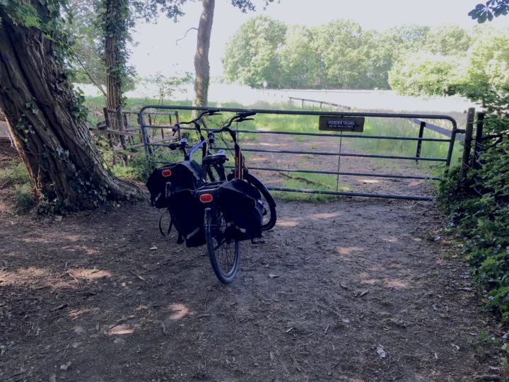 Viisi fietsie