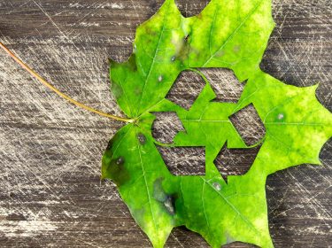 Blatt auf dem Boden mit stilisiertem Recyclingsymbol