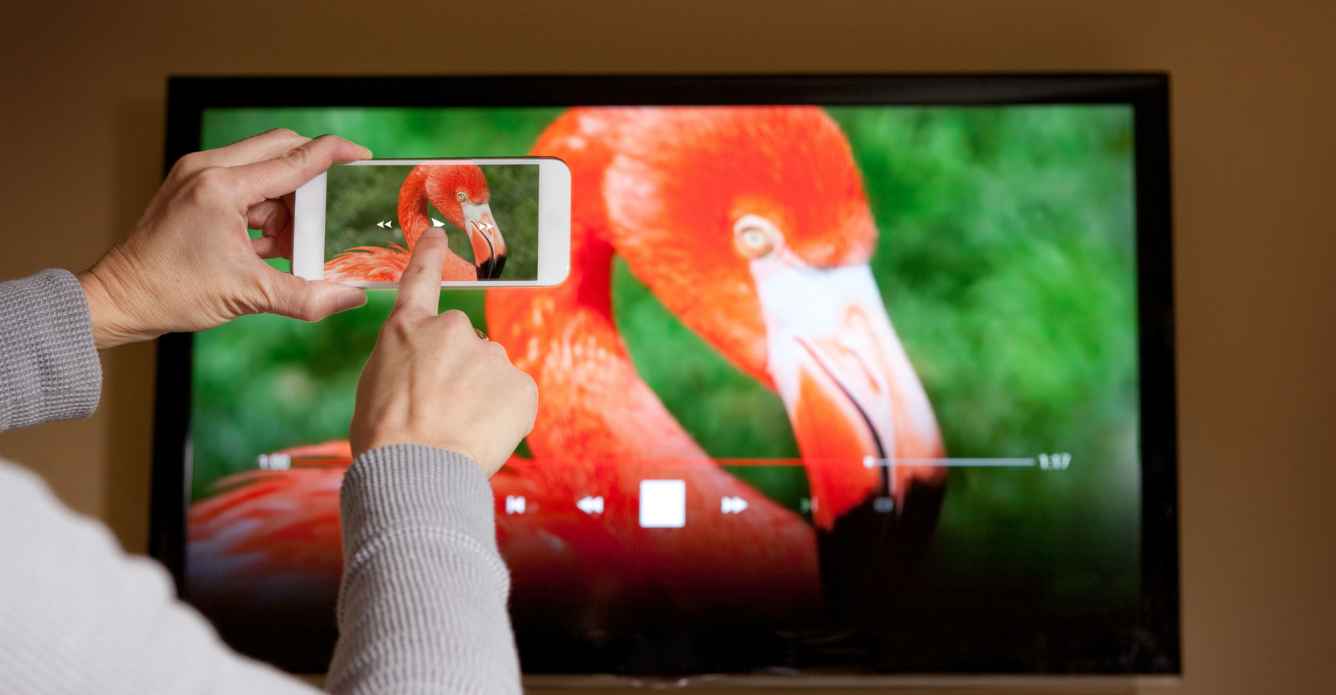 Google Chromecast Einrichten So Klappt Es Via Smartphone google chromecast einrichten so klappt es via smartphone