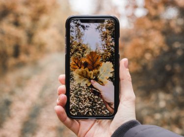 iPhone X in herbstlicher Szenerie