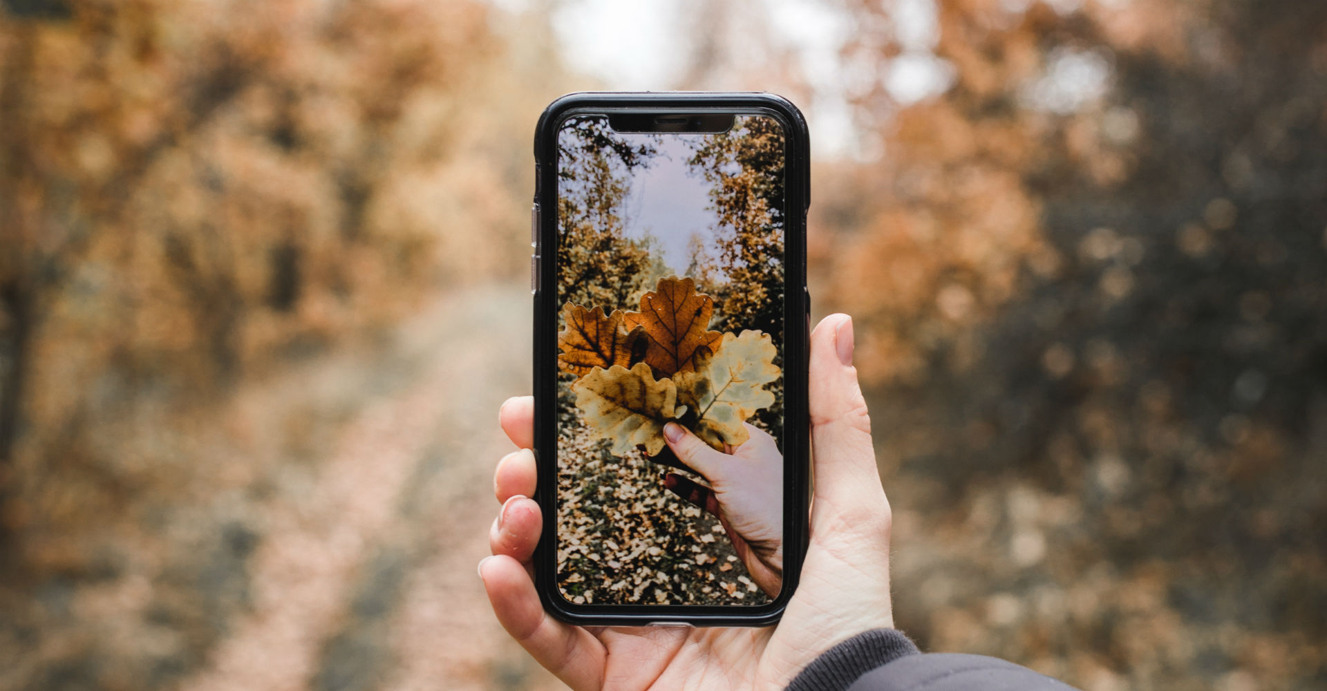 iPhone X nimmt ein Foto mit Herbstlaub auf.