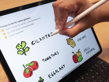 Mit dem Apple Pencil auf dem iPad Pro schreiben, zeichnen und mehr