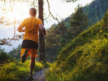 Junger Mann absolviert ein Lauf-Training im Wald.