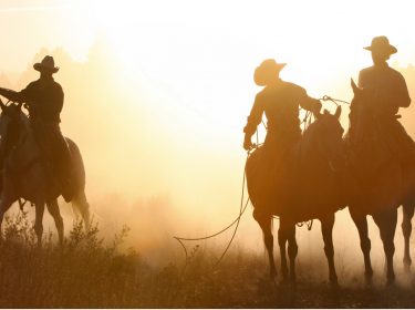 Red Dead Redemption 2 Western