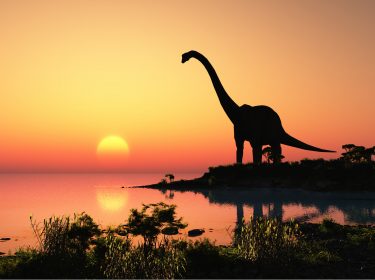 Dinosaurier vor Sonnenuntergang