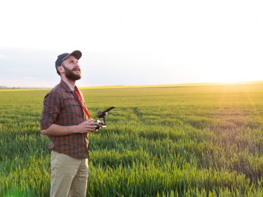 Drohnenpilot fliegt Drohne im Grünen