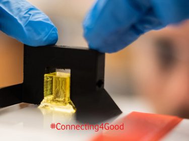 Bioprinting: Die Zukunft der Medizin kommt aus dem 3D-Drucker