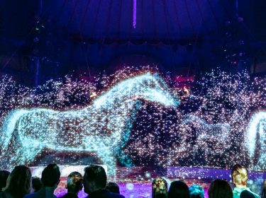 Hologramm-Zirkus: Hightech-Show statt lebendiger Tiere