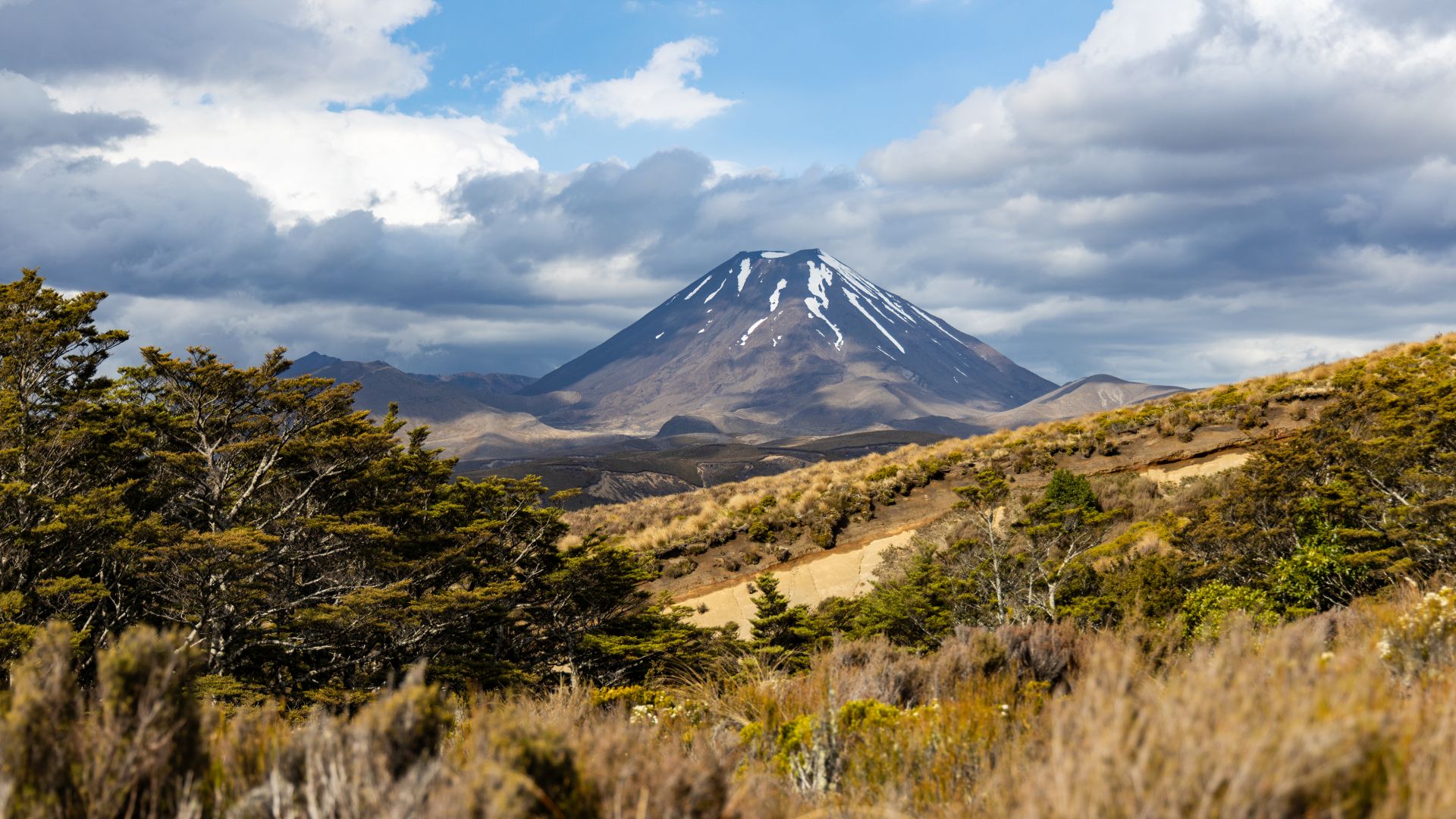 Blick auf den Vulkan Ngauruhoe im Tongariro Nationalpark in Neeuseeland