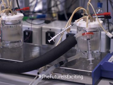 Alternative zu Fleisch aus CO2 herstellen - The Future Is Exciting