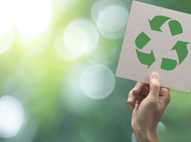 Google setzt Zeichen für Nachhaltigkeit