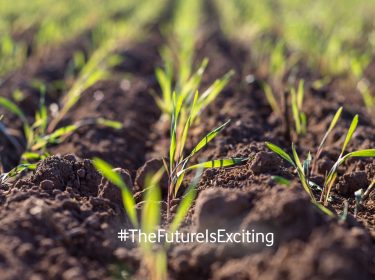 Unkrautroboter machen nachhaltigen Ackerbau erschwinglich