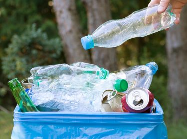 Hand wirft Plastikflaschen am World Clean Up Day 2019 in Mülleimer