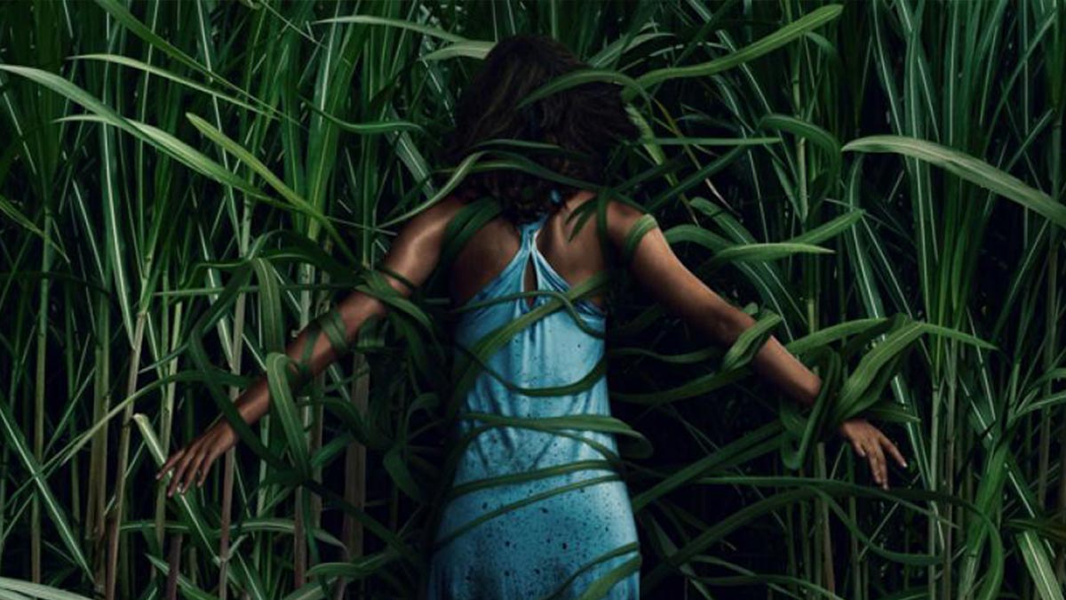 Im hohen Gras Die Erklärung vom Ende des NetflixFilms Quadratauge