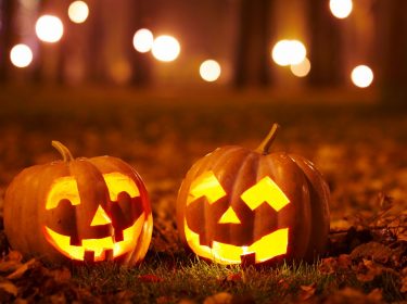 Zwei Halloween-Kürbisse stehen im Wald.