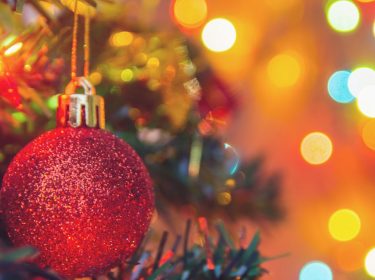 Rote Kugel hängt im Weihnachtsbaum.