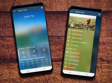 Die Migräne-App auf einem Android-Smartphone.