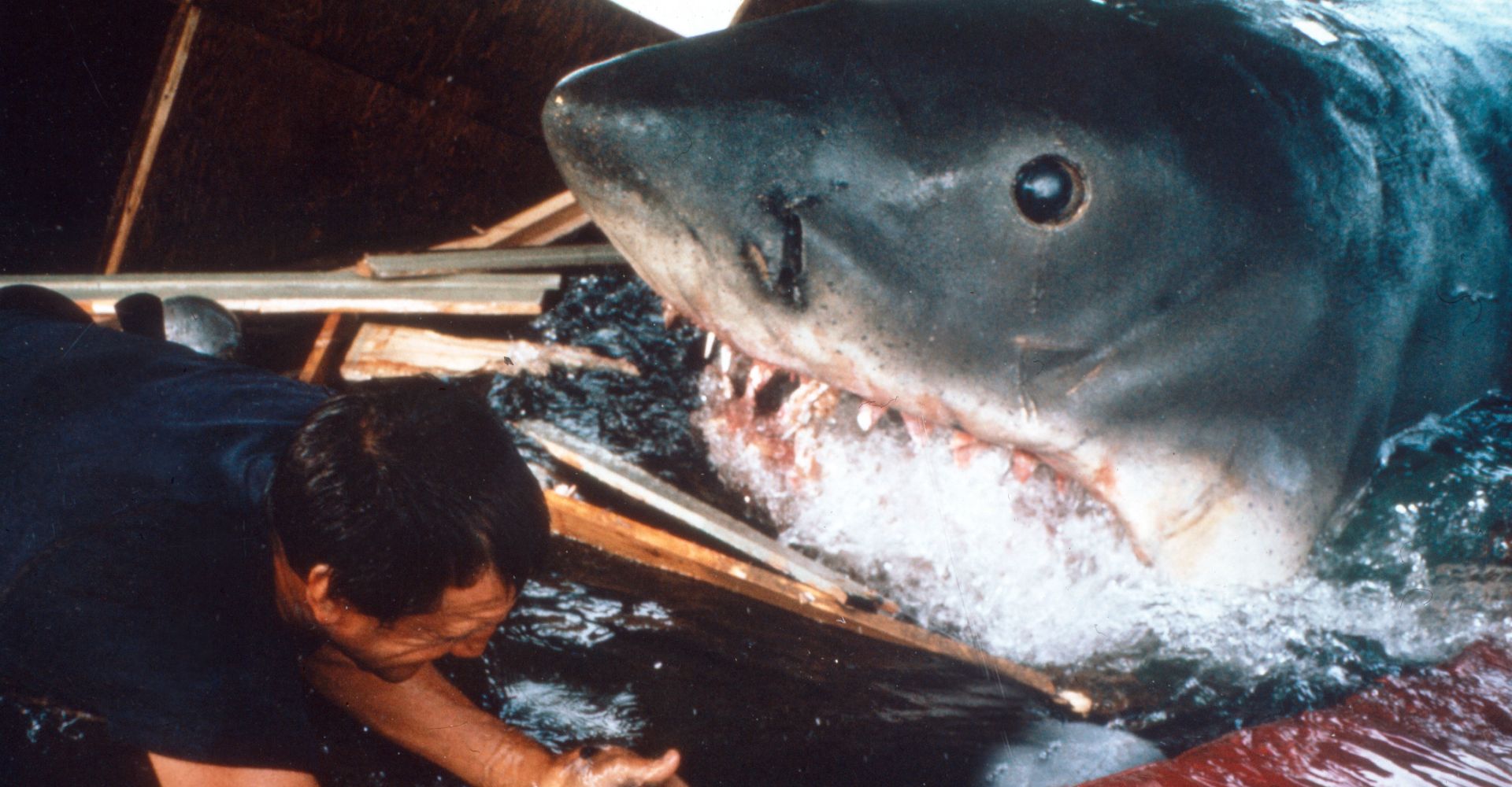 Der weiße Hai Neue BluRayEditionen zum 45. Geburtstag