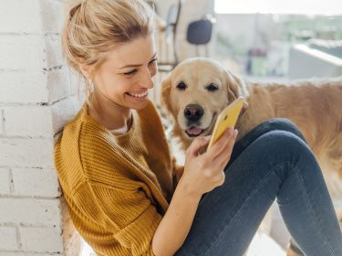 iOS 14: Bild-in-Bild-Modus für Videos