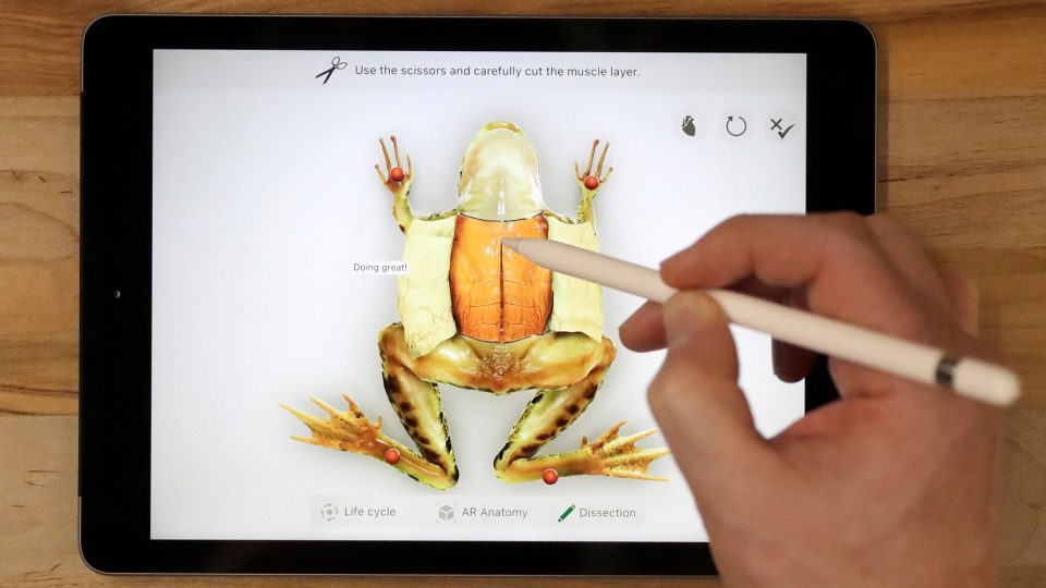 Apple Pencil Funktioniert Nicht Mehr Richtig Apple Pencil funktioniert nicht: Akku und Bluetooth sind mögliche Ursachen