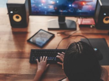 Frau spielt am PC Computerspiel