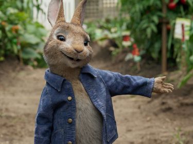 Peter Hase steht in einem Garten in Peter Hase