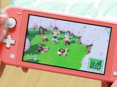 Animal Crossing: New Horizons an der Switch