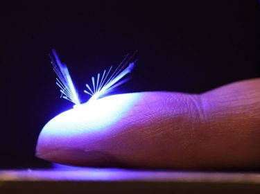 fairy roboter bestäubung