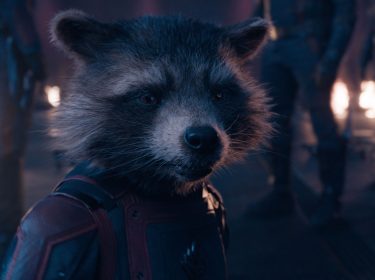 rocket von den guardians of the galaxy