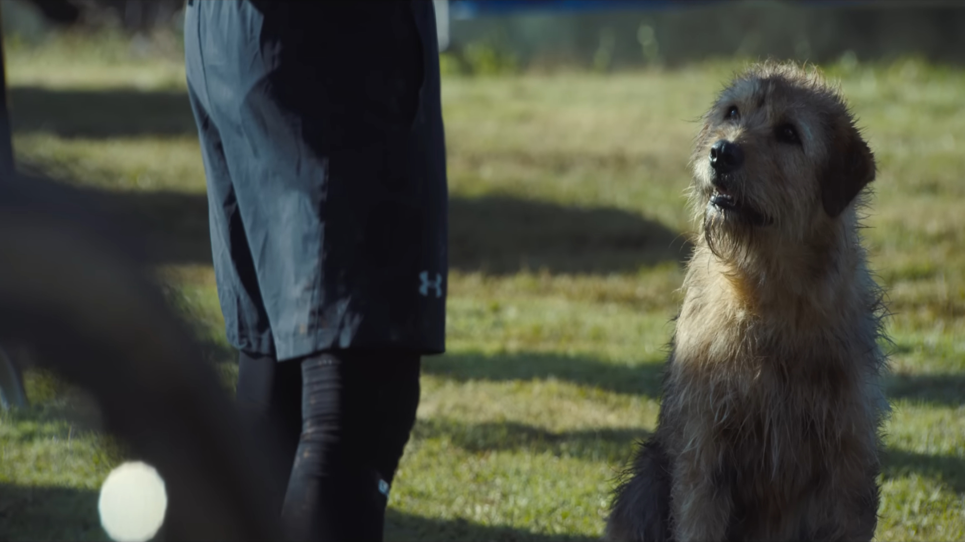 Arthur der Große streamen Wann und wo kannst Du den Film sehen?