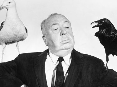 Im Artikel zu Alfred Hitchcocks besten Filmen siehst du ein Brustbild von Alfred Hitchcock. Das Bild ist schwarz-weiß. Hitchcock hat eine Halbglatze und trägt einen Anzug mit Krawatte. Er hat seine Arme angehoben sodass zwei Voegel auf seinen Oberarmen sitzen. Links im Bild ist eine weiße Möwe, rechts im Bild ein schwarzer Rabe auf seinem Arm gelandet. Hitchcock hat den Kopf erhoben. Er schaut mit kritischem Blick nach unten rechts im Bild. Der Hintergrund des Porträts ist weiß.