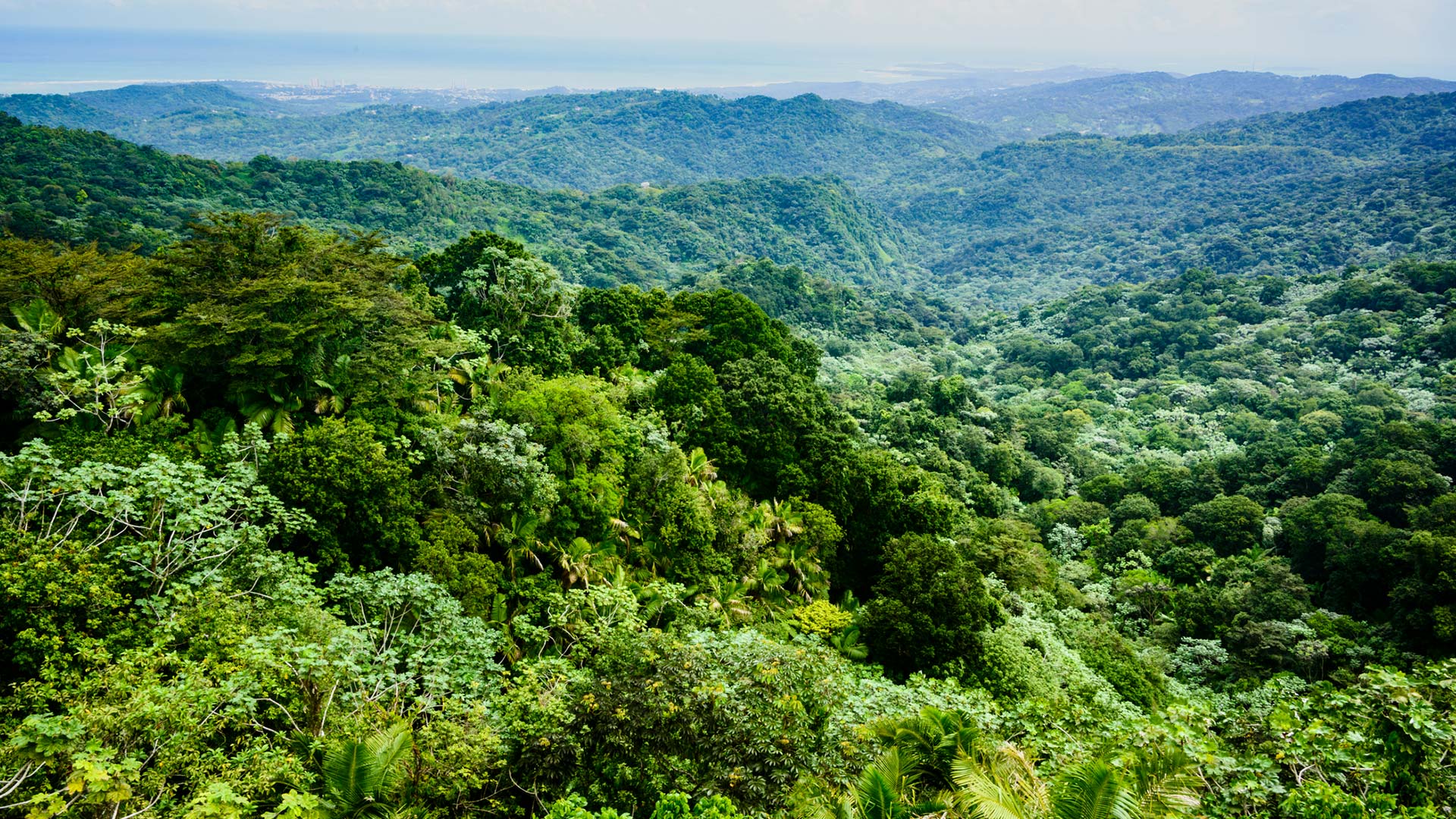 Conjuring Reihenfolge So Schaust Du Die Filme Chronologisch conjuring-reihenfolge-so-schaust-du-die-filme-chronologisch