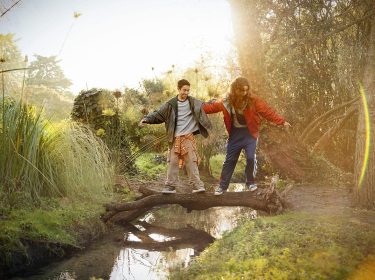 Auf dem Visual zum Weihnachtsspot von Vodafone 2024 balancieren zwei Jugendliche fröhlich auf einem umgestürzten Baumstamm über einen kleinen Bach in einer idyllischen Naturkulisse. Sie tragen lässige, bunte Kleidung, während goldenes Sonnenlicht durch die Bäume scheint und eine warme, festliche Stimmung erzeugt.