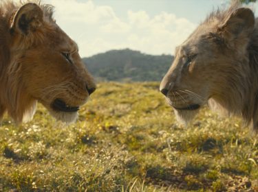 Auf dem Bild zur Mufasa Kritik stehen sich zwei Löwen gegenüber und blicken sich tief in die Augen. Links ist ein jüngerer Löwe mit dichter, goldener Mähne zu sehen, während rechts ein älterer Löwe mit leicht ergrauter Mähne abgebildet ist. Die Szene spielt auf einer sonnigen Graslandschaft mit sanften Hügeln im Hintergrund, was die emotionale und bedeutungsvolle Atmosphäre zwischen den beiden Tieren unterstreicht.