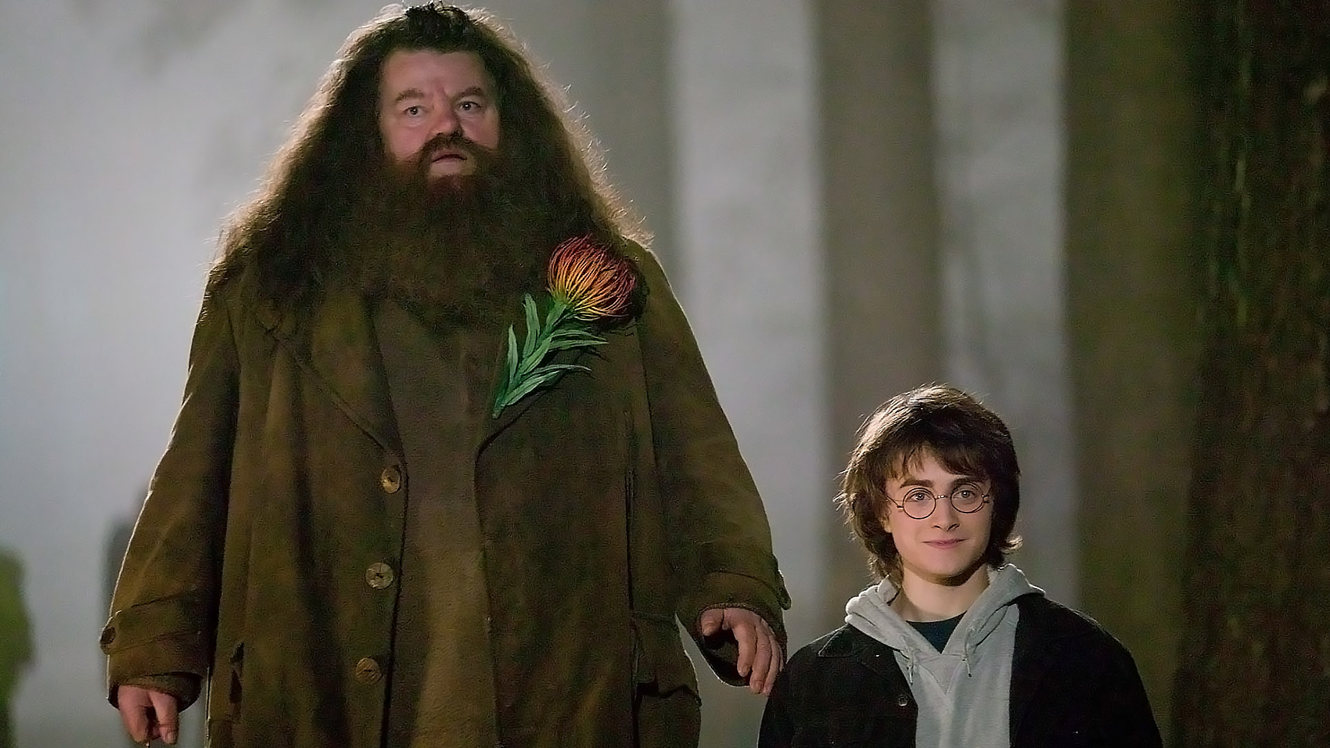 Harry Potter Die Bücher in der richtigen Reihenfolge